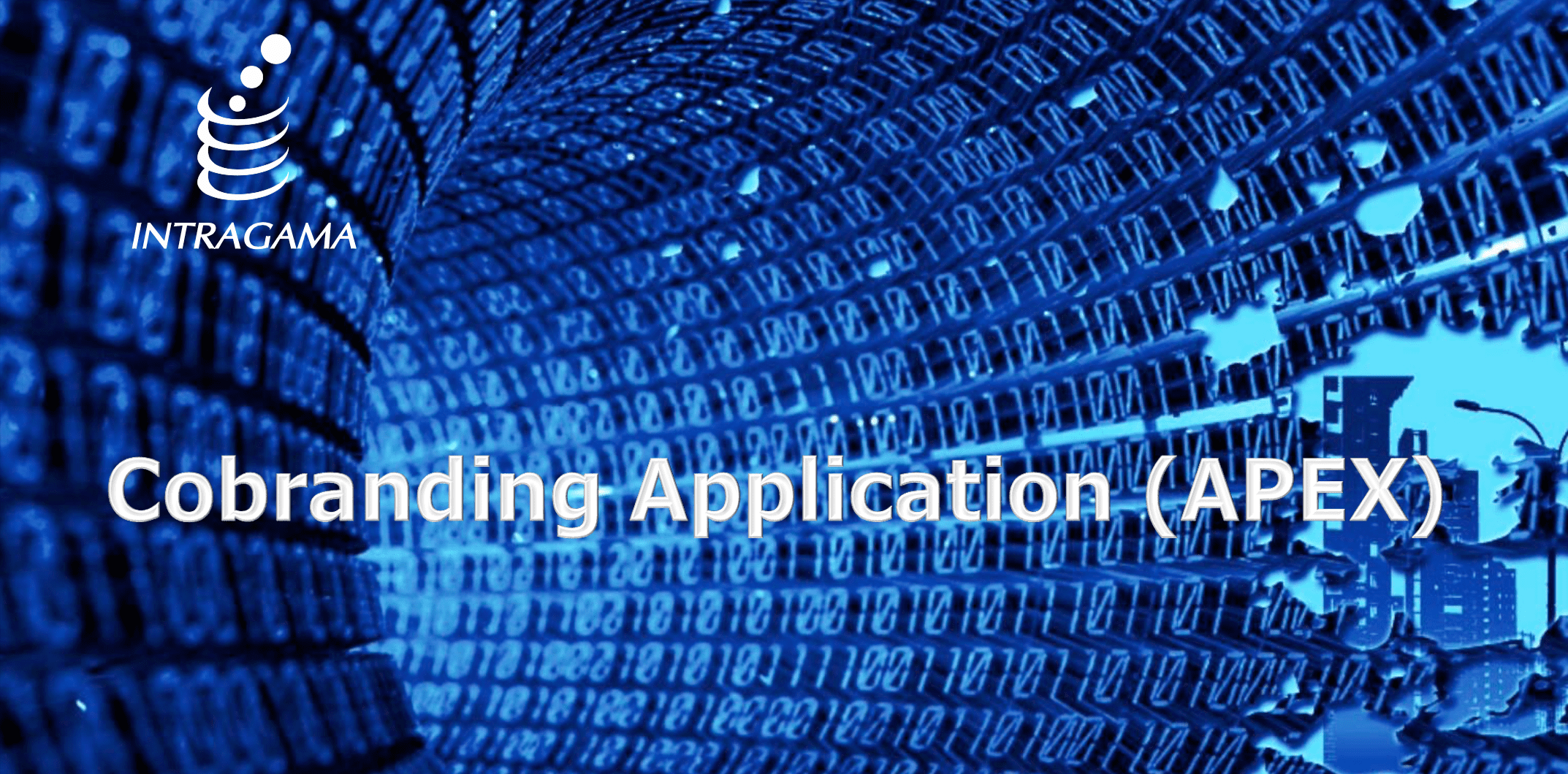 Cobranding Application (APEX)